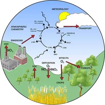 Volatile organic compound matters